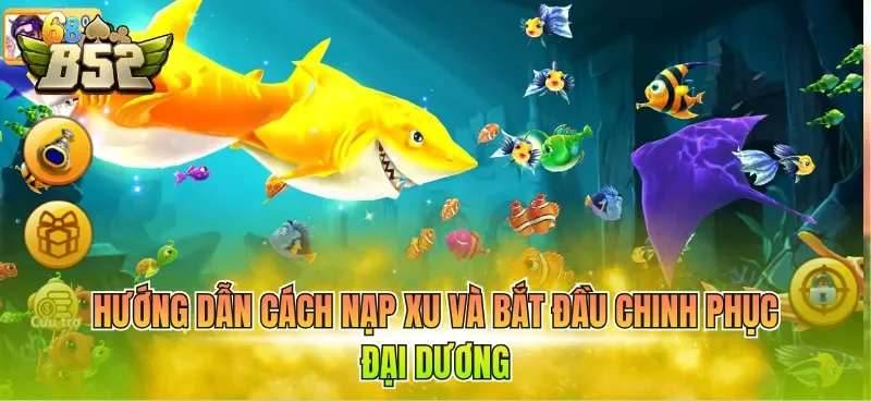 Hướng dẫn cách nạp xu và bắt đầu chinh phục đại dương